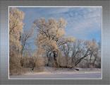 Matin d`hiver
