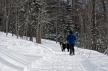 Parc de la Gorge de Coaticook