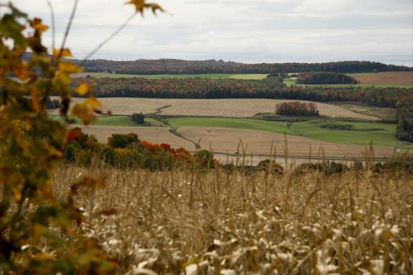Virée gourmande des Comptonales Virée gourmande des Comptonales