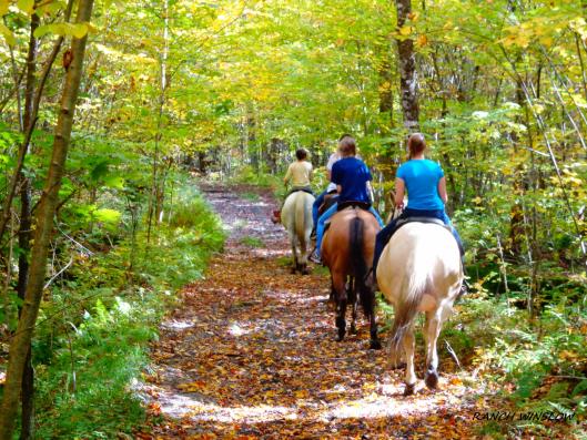 randonnee cheval estrie
