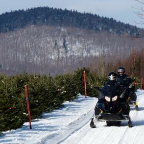 Forfaits motoneige