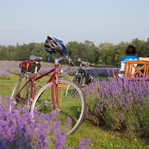 Forfaits vélo