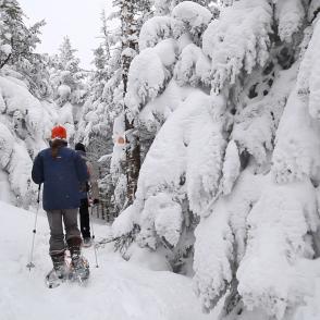 Forfaits ski de fond et raquette