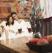 Escapades romantiques et plaisirs gourmands