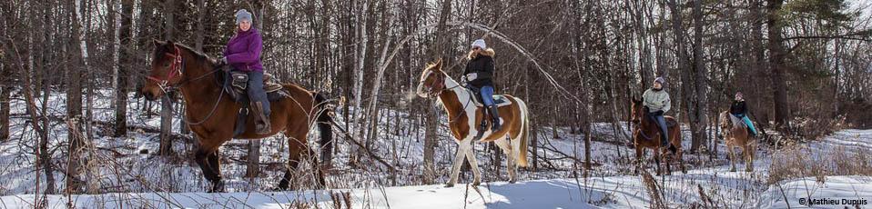 randonnee cheval orford
