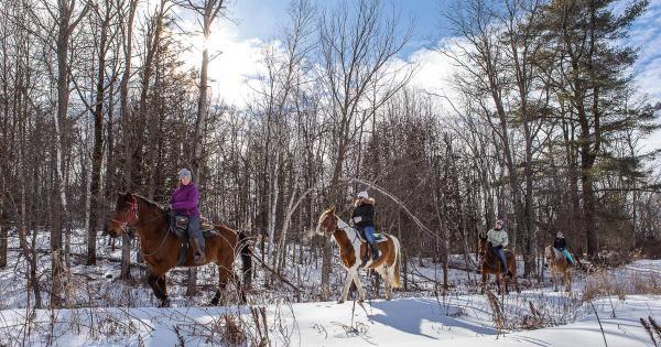 randonnee cheval orford
