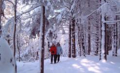 S’évader au rythme de l'hiver dans les Cantons
