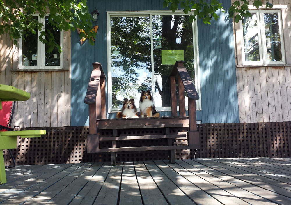 Max and Fiona on vacation at Asinerie Les Anes en culotte Max and Fiona on vacation at Asinerie Les Anes en culotte