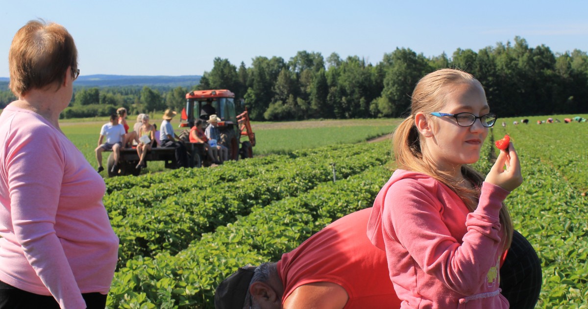 Ascot Corner Cantonsdel’Est (Estrie)