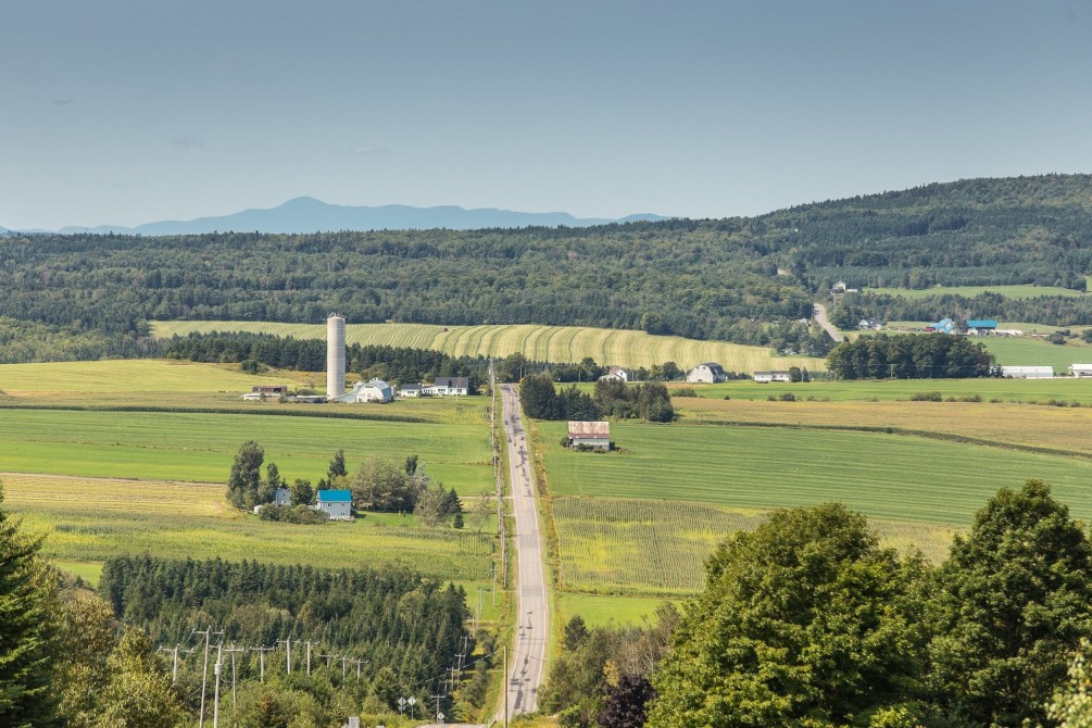 East Hereford - Mathieu Dupuis: