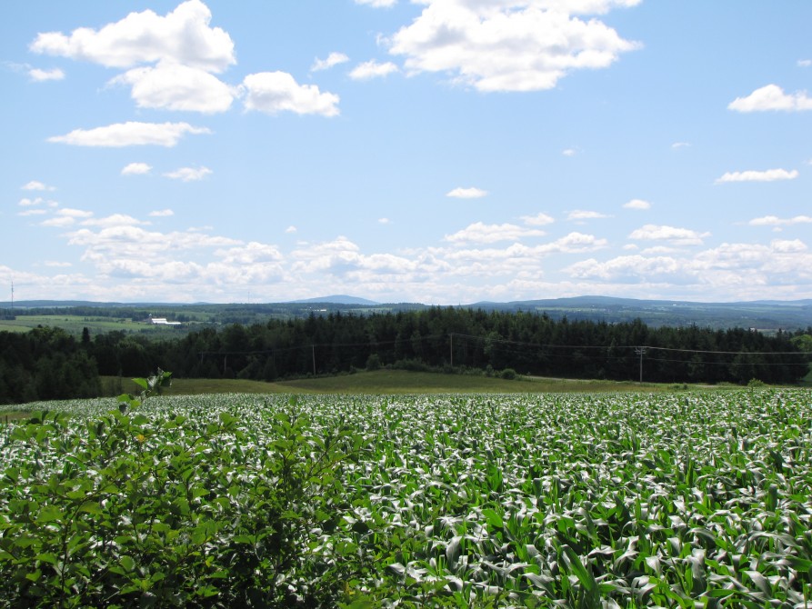 Sainte-Edwidge-de-Clifton: