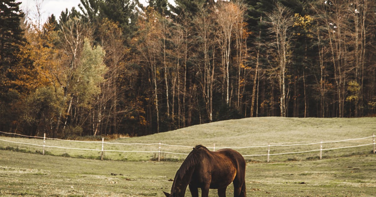 BoltonOuest Cantonsdel’Est (Estrie)