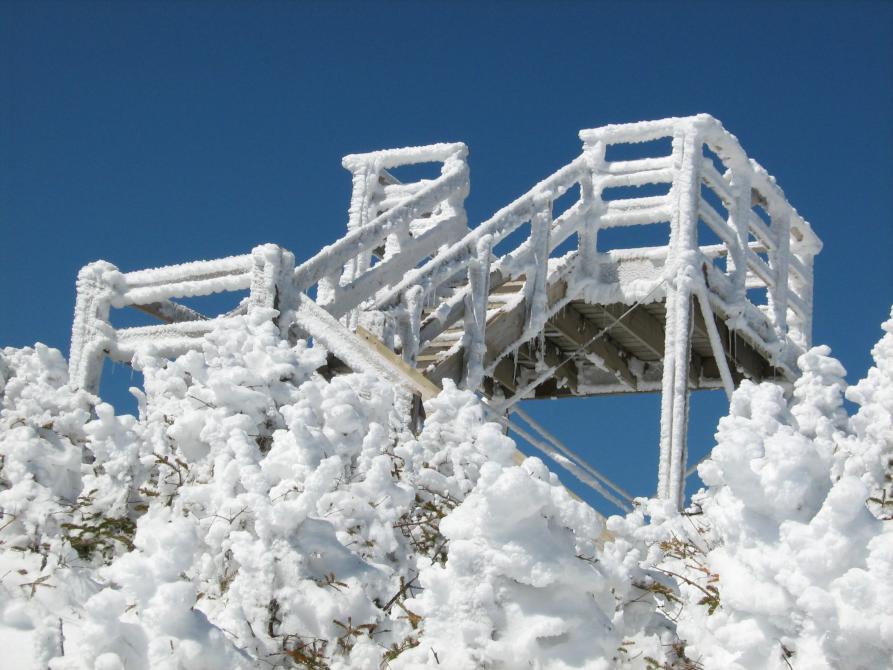 Tour d’observation au sommet du Mont Gosford: Sentier Boucle du sommet - Mont Gosford