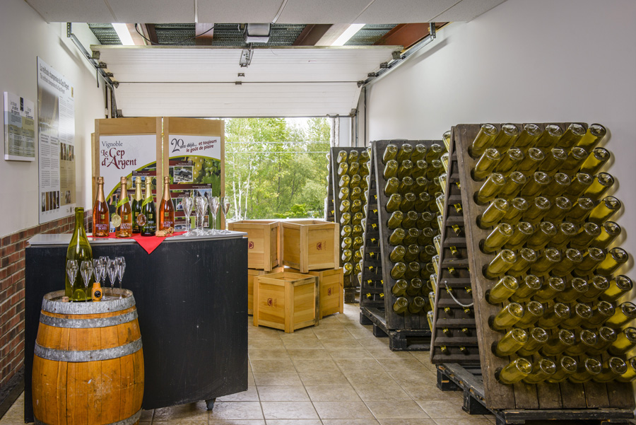 Centre d'interprétation de la Méthode traditionnelle champenoise: Vignoble Le Cep d'Argent