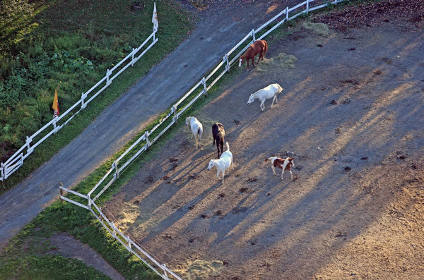 Les chevaux, vue aérienne: