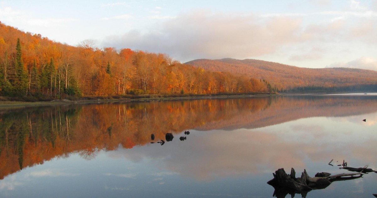 Réserve naturelle des MontagnesVertes, secteur Singer Mansonville