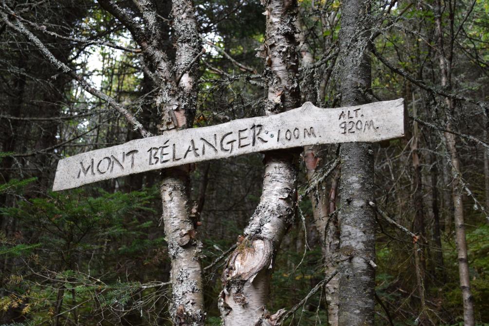 Sommet du Mont Bélanger: Saint-Robert-Bellarmin, région de Mégantic
©Marie-Claude Lacombe