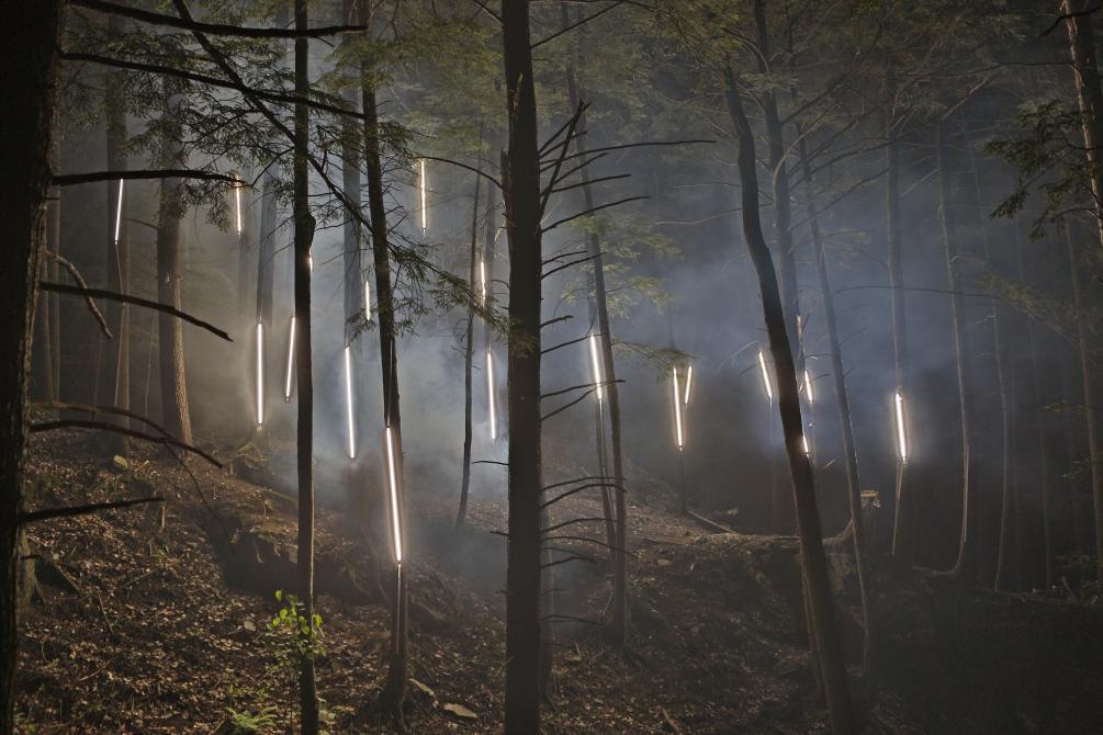 Foresta Lumina: Parc de la Gorge de Coaticook