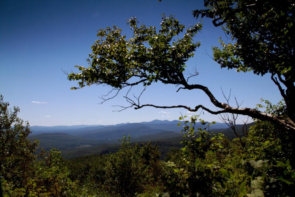 Sentier Sommets: Réserve naturelle des Montagnes Vertes - secteur Signer