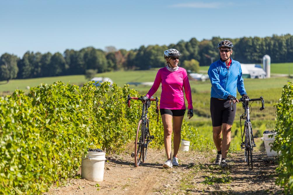 À vélo sur la Route des vins: À vélo sur la Route des vins. Photo : Mathieu Dupuis