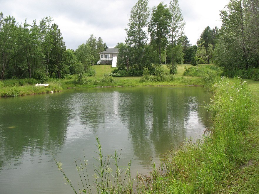 Le Relais des Mésanges: Chalet Mésange huppée, 4 chambres, idéal pour  groupe de 8  à 14 personnes. 
Lac privé pour la baignade accès au lac Miroir. 
Dudswell