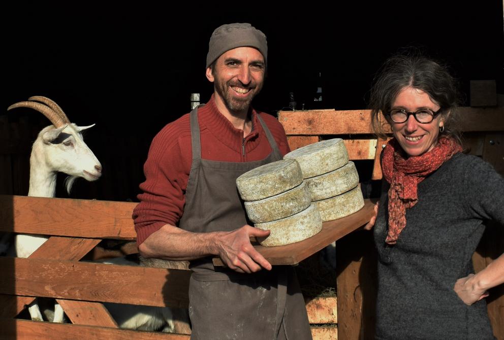 Fromagerie les Broussailles: Martinville