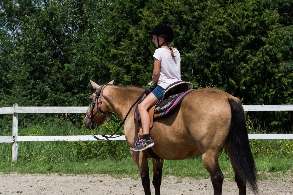 Cours d'équitation western: Des cours d'équitation western sont offerts sur place
À partir de 8 ans
