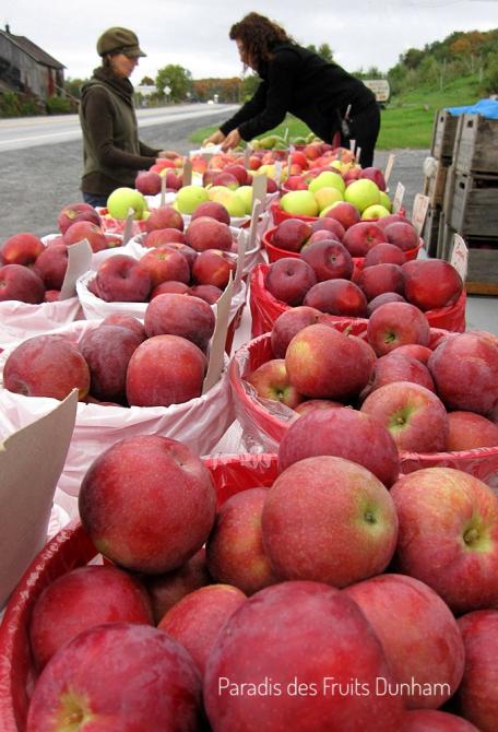 Pommes (23 variétés), Poires, Prunes et Framboises d'automne: