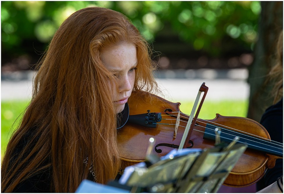 Jeune violoniste: Jeune violoniste concentrée