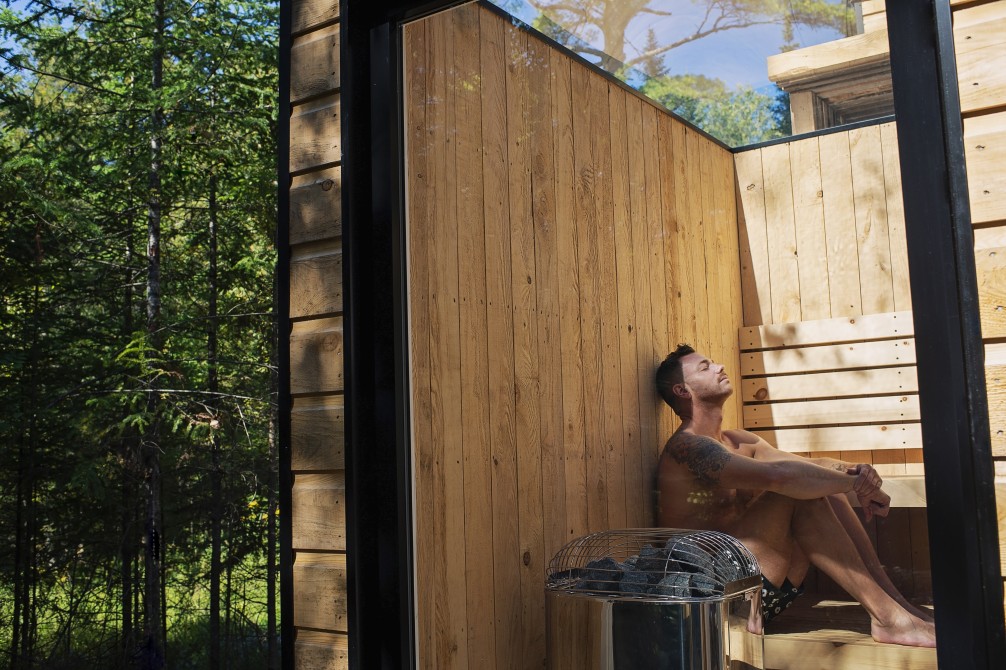 Sauna finlandais: Sauna finlandais avec plafond vitré et vue sur la forêt