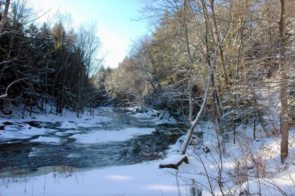 Notre rivière en hiver: Nous avons 500 mètres de longitude sur la rivière 