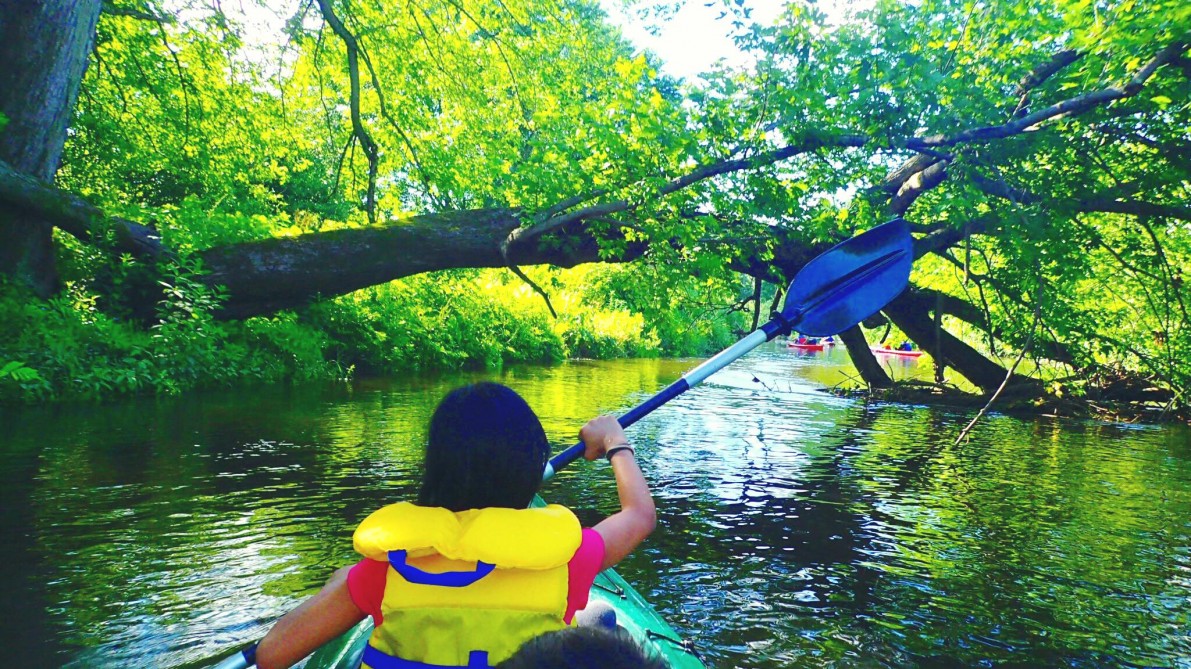 excursion en kayak et canoe riviere missisquoi: