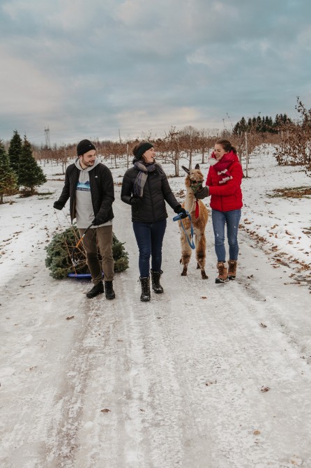 Verger Champêtre: Granby
Verger
Champêtre
Pomme
Animaux
Famille
Plein air
Activités
Noël
Hiver
Neige