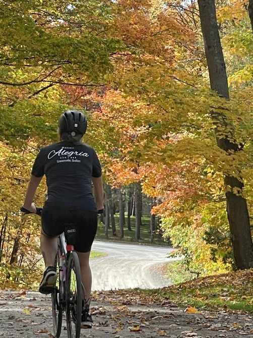 Vélo en automne: