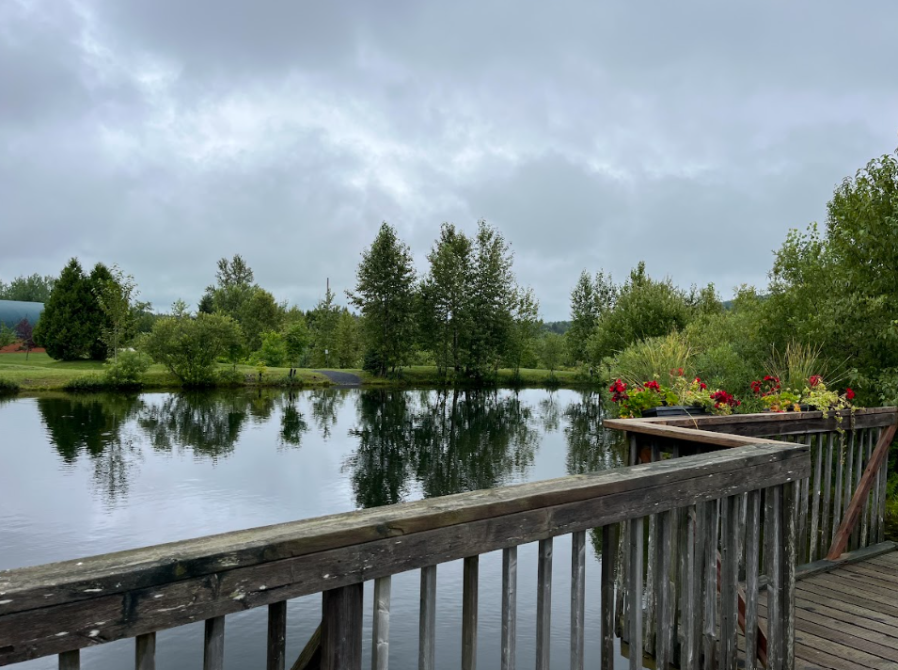 Parc_Découverte_Nature: