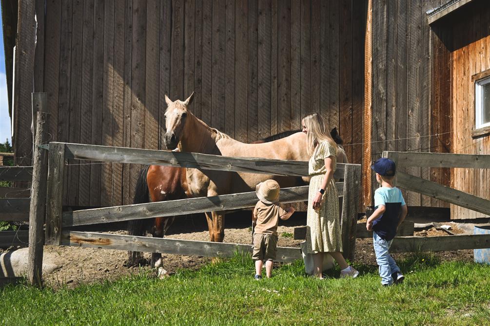 Ferme des Petits Torrieux: