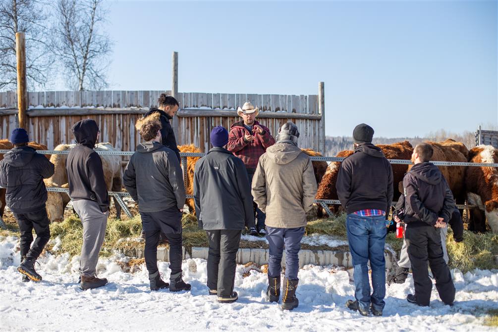 Ferme des Petits Torrieux: