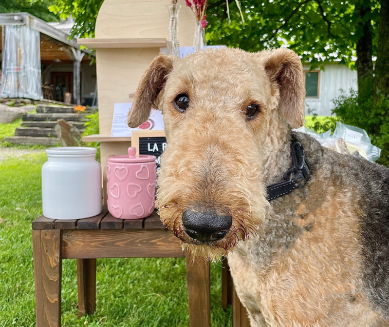 Léon Courville vigneron: