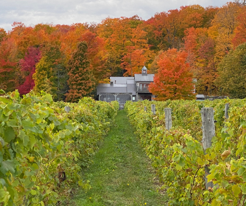 Léon Courville vigneron: