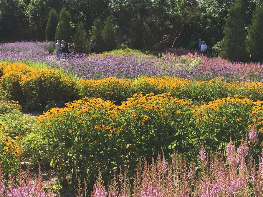 Parc Marie-Victorin:
