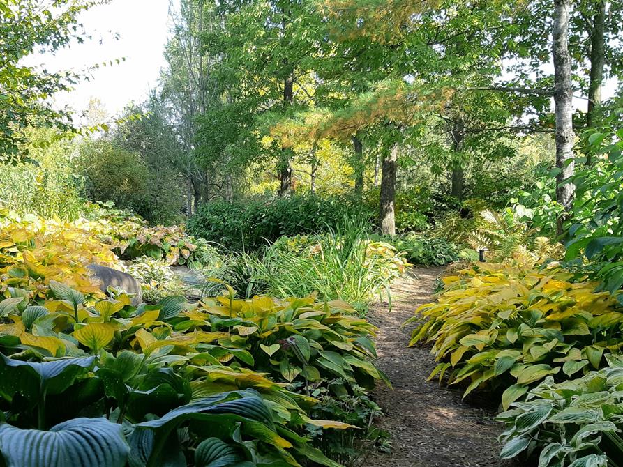 Parc Marie-Victorin: