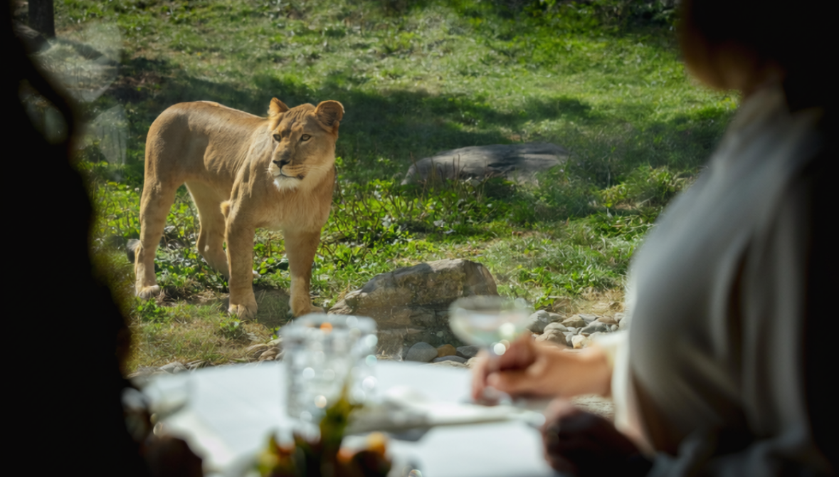 Zoo de Granby: