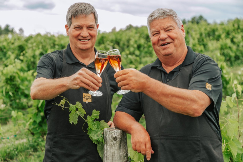 Vignoble Le Cep d'Argent: