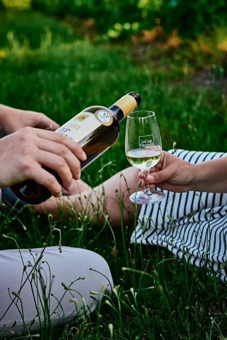 Vignoble Le Cep d'Argent: