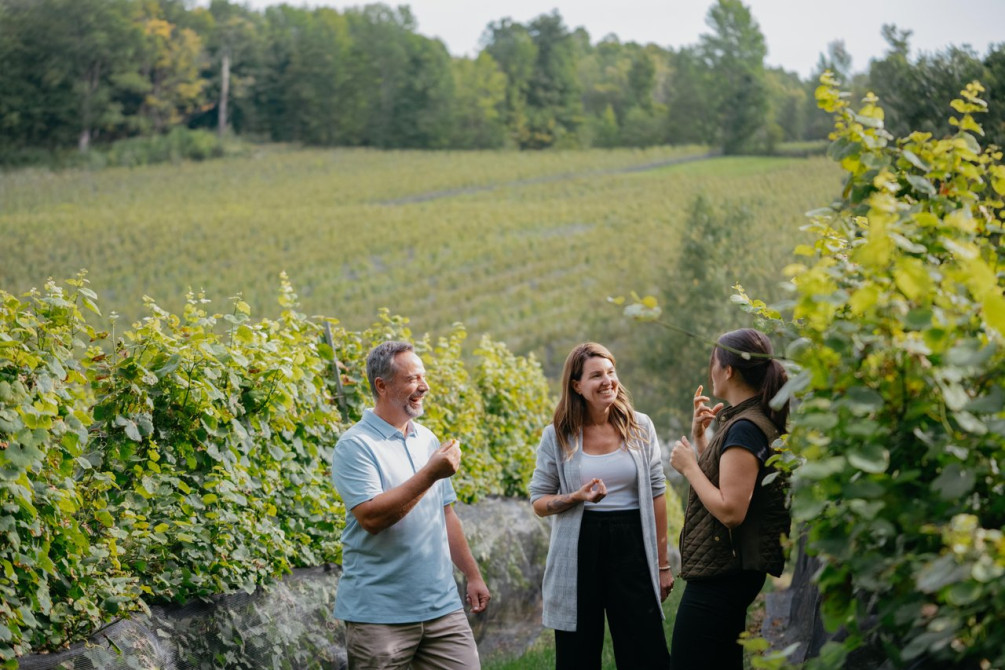 Le Vignoble du Ruisseau: