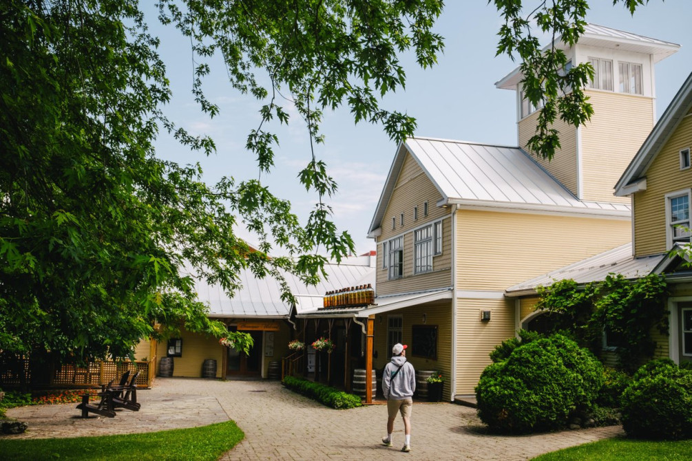 Vignoble de l'Orpailleur: