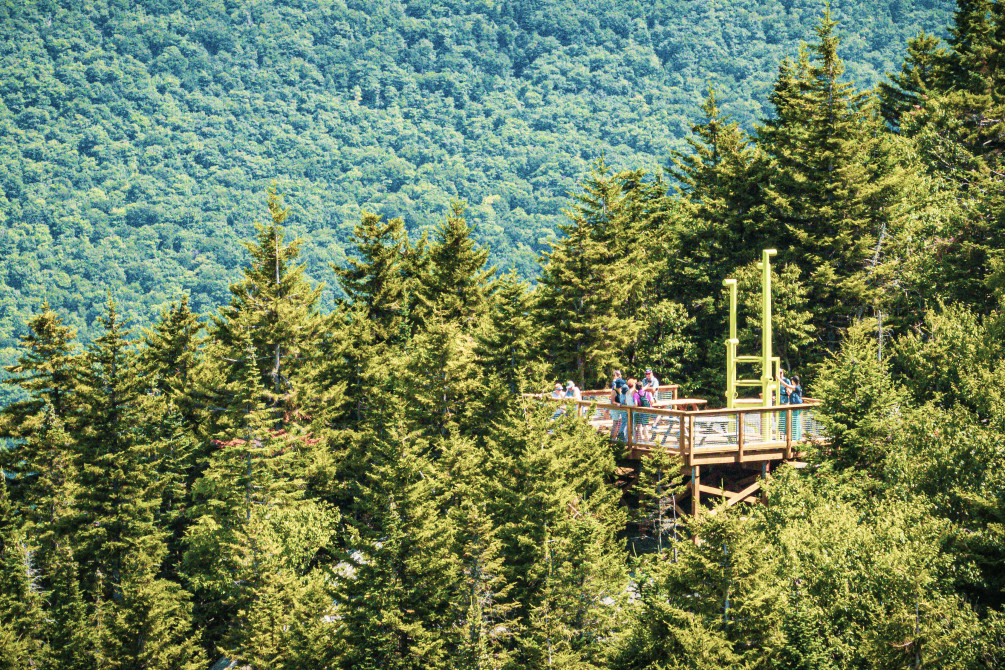 Mont_Sutton_sentier_ludique: