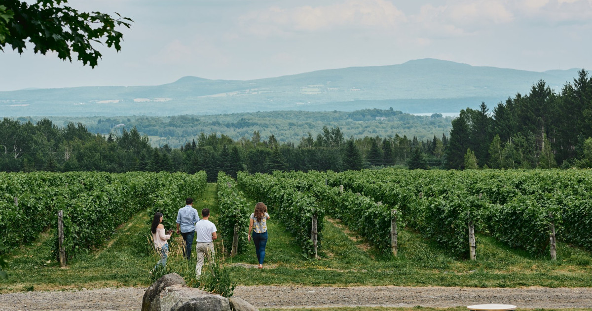 Région de BromeMissisquoi Cantonsdel'Est (Estrie)