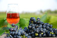 vins rosés vins rosés