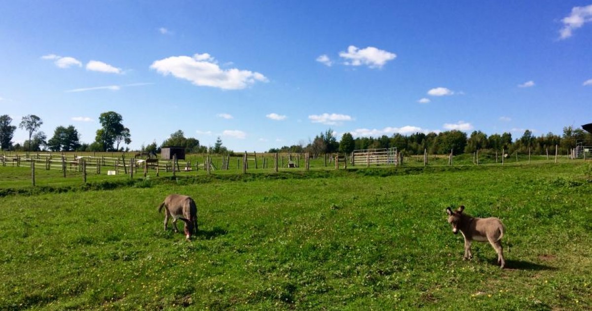 5 choses à faire à... SainteAnnedelaRochelle Cantonsdel'Est